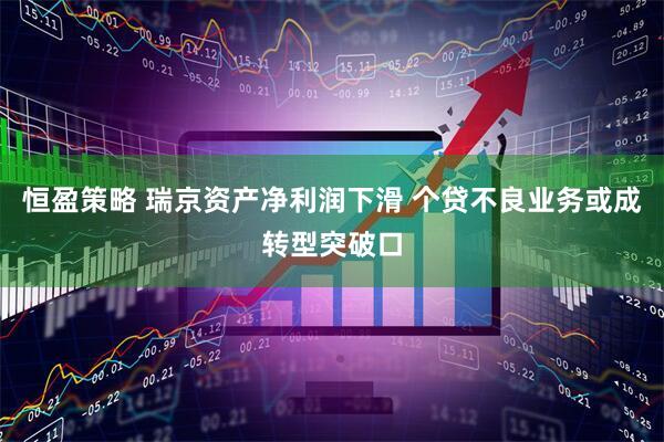 恒盈策略 瑞京资产净利润下滑 个贷不良业务或成转型突破口