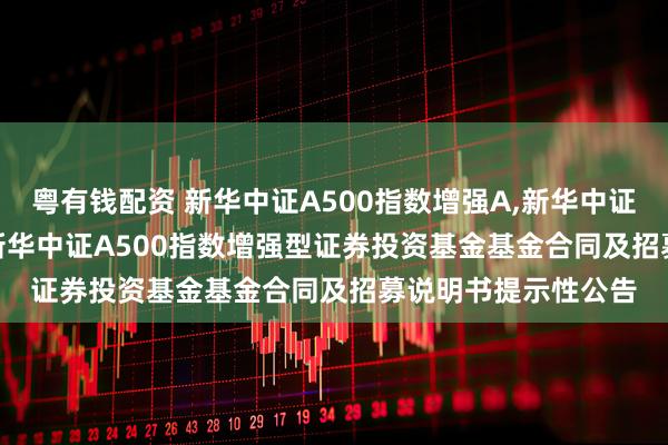 粤有钱配资 新华中证A500指数增强A,新华中证A500指数增强C: 新华中证A500指数增强型证券投资基金基金合同及招募说明书提示性公告