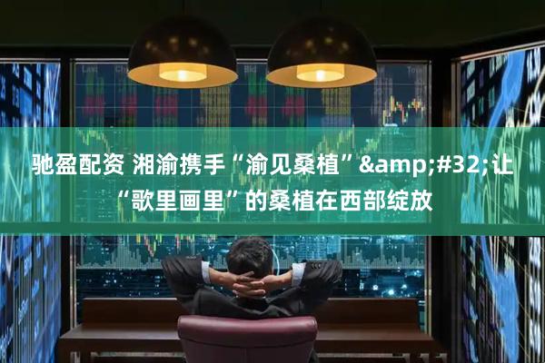 驰盈配资 湘渝携手“渝见桑植”&#32;让“歌里画里”的桑植在西部绽放