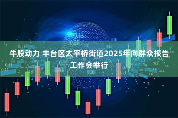牛股动力 丰台区太平桥街道2025年向群众报告工作会举行